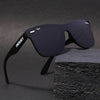 Polarized Wayfarer sunglasses - SunglassesMart