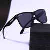 Polarized Wayfarer sunglasses - SunglassesMart