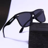 Polarized Wayfarer Black - SunglassesMart