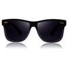 Polarized Wayfarer sunglasses - SunglassesMart
