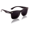 Polarized Wayfarer sunglasses - SunglassesMart