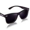 Polarized Wayfarer sunglasses - SunglassesMart