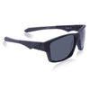 Polarized Wayfarer Sunglasses - SunglassesMart