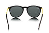 Oval Wayfarer Sunglasses - SunglassesMart