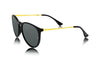 Oval Wayfarer Sunglasses - SunglassesMart