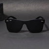Polarized Wayfarer sunglasses - SunglassesMart