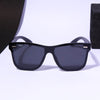 Polarized Wayfarer sunglasses - SunglassesMart