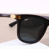 New Wayfarer sunglasses - SunglassesMart
